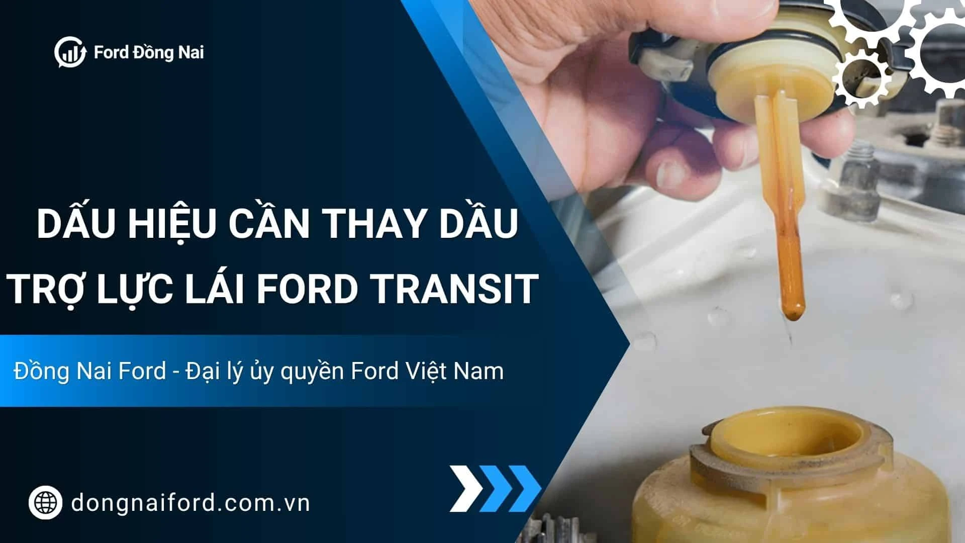 Dấu Hiệu Cần Thay Dầu Trợ Lực Lái Ford Transit Và Địa Chỉ Bảo Dưỡng Uy Tín