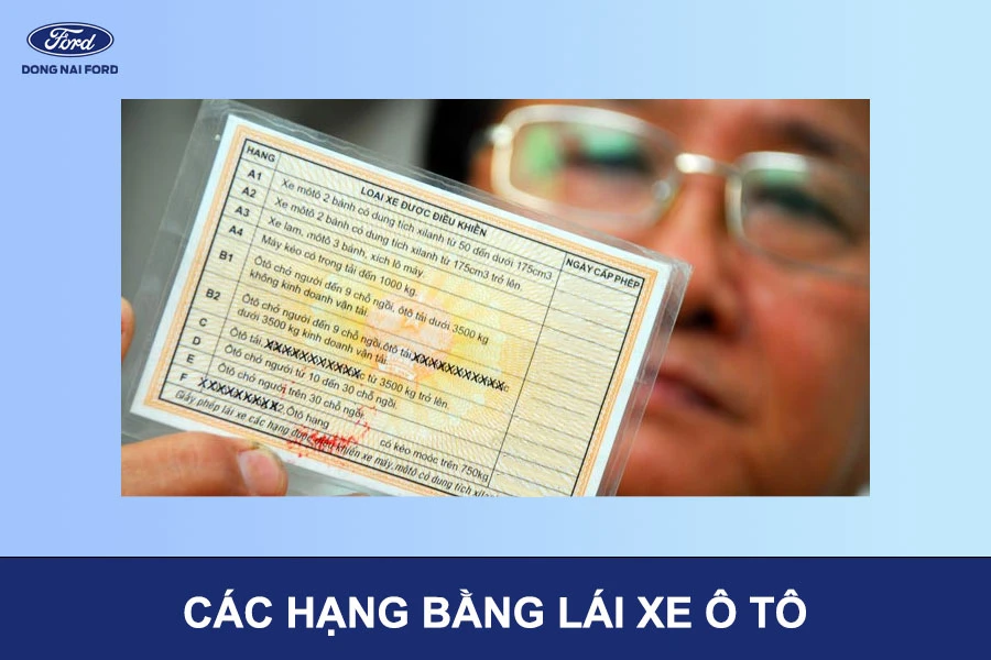 Tìm hiểu về các hạng bằng lái xe ô tô và những thông tin cần biết
